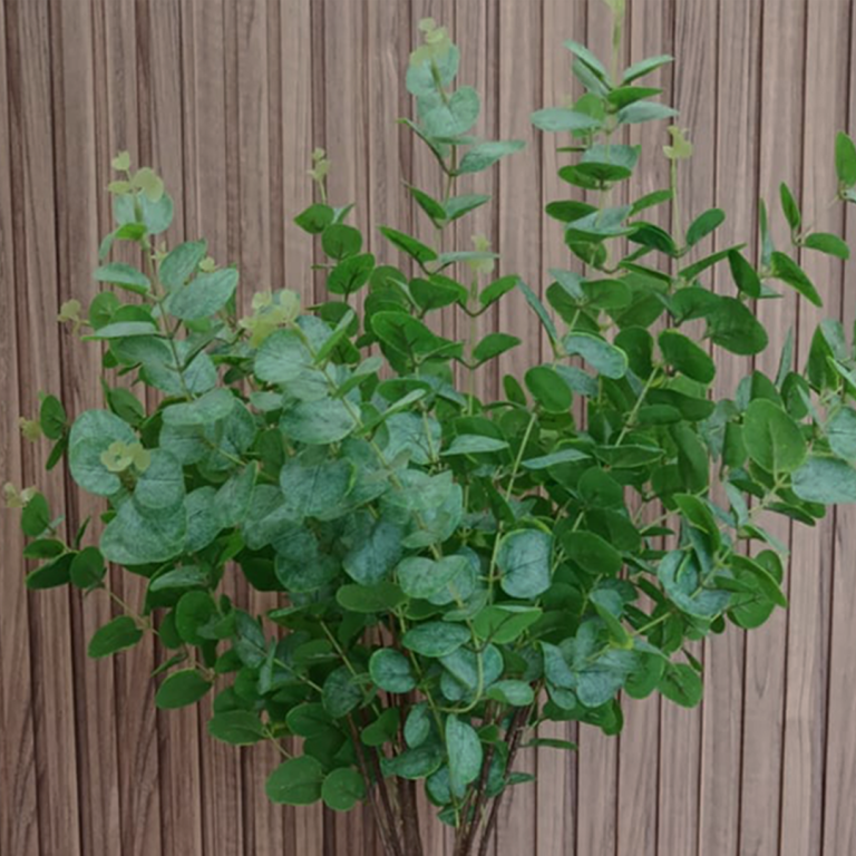 Vase Élégant avec Eucalyptus Artificiel – Image 4