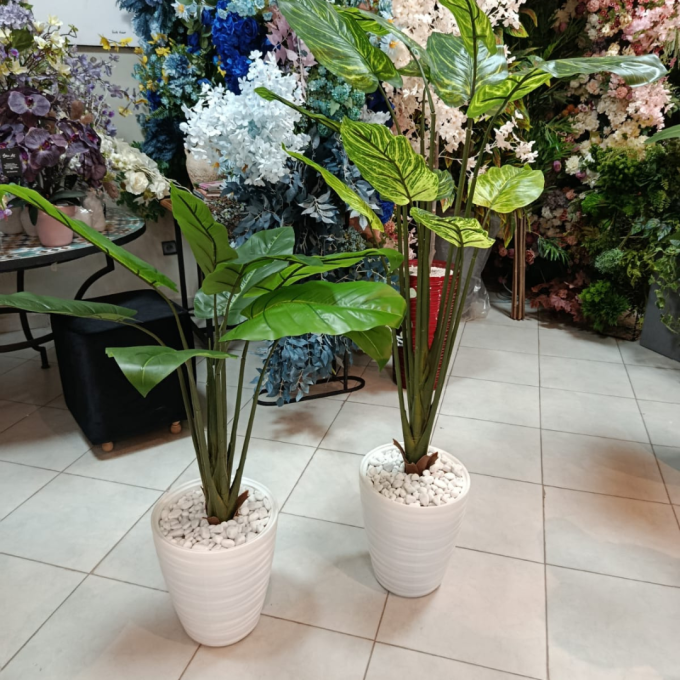 2 Plantes artificielles Alocasia Cucullata et bananier. – Image 5