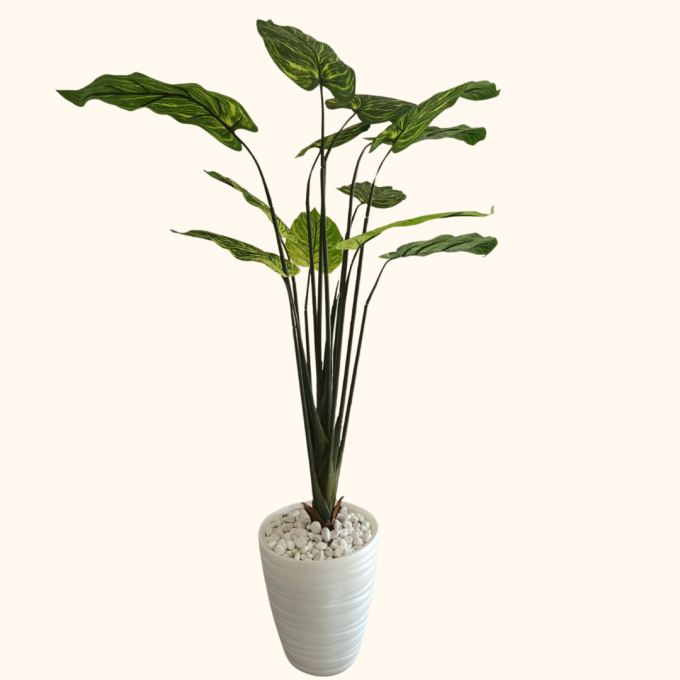2 Plantes artificielles Alocasia Cucullata et bananier. – Image 3
