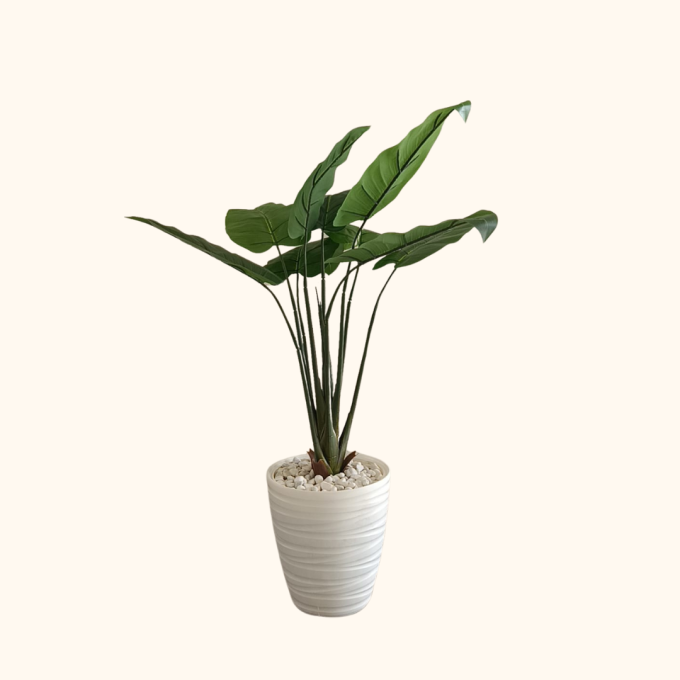 2 Plantes artificielles Alocasia Cucullata et bananier. – Image 2