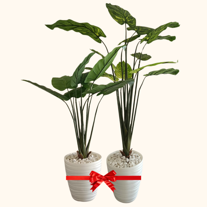 2 Plantes artificielles Alocasia Cucullata et bananier. – Image 4