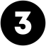 3 3